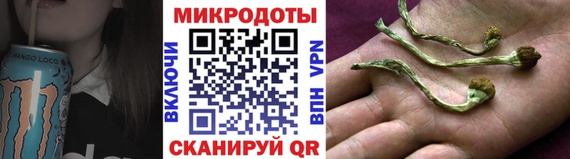 Псилоцибиновые грибы прущие грибы  Боготол 