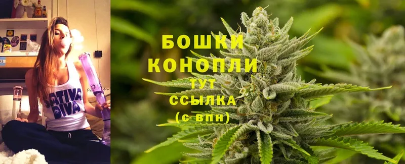 где купить наркотик  Боготол  Марихуана OG Kush 